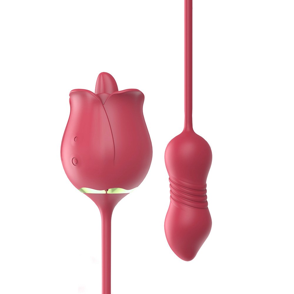 Rose Double-Head Vibrating Egg 4 LustFlox – Unleash Your Desire Rose Double-Head Vibrating Egg - Clitoral & Penetrative 4