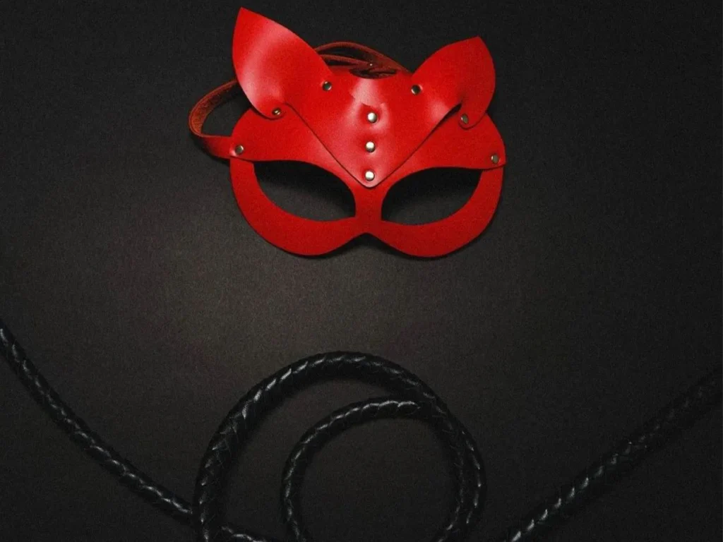 BDSM Beginner’s Guide