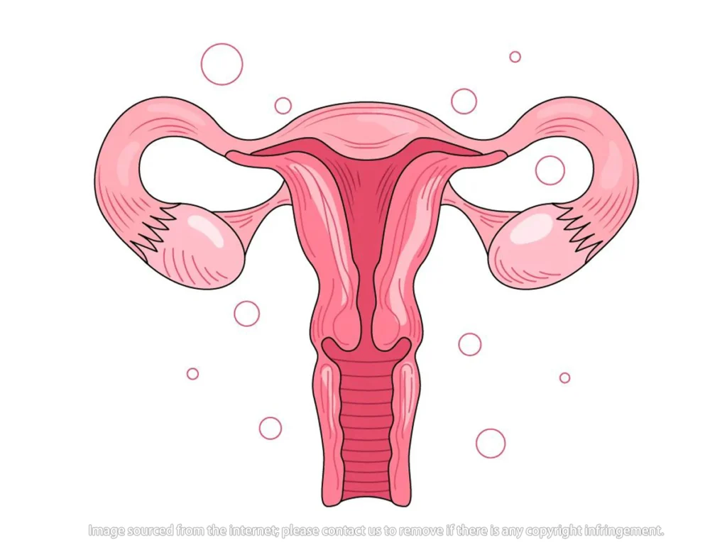 Can orgasm relieve vaginal dryness Vaginal health and orgasm: Is there really a connection? (Atrophy, dryness, sensitivity)