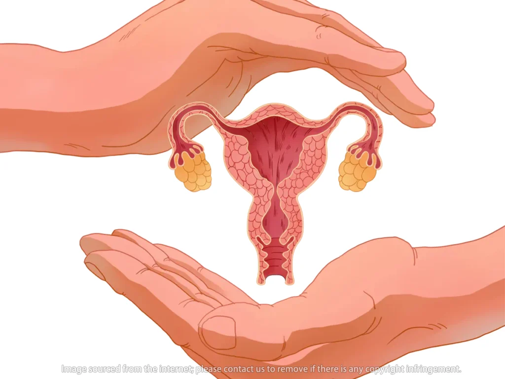 How to reduce the risk of vaginal bacterial infection during masturbation Guide complet de la masturbation vaginale (Débutante à Experte)