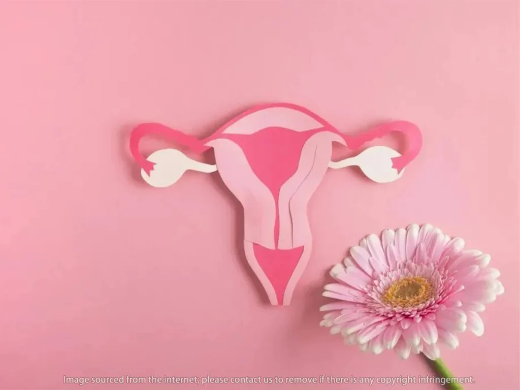 Precautions during recovery from vaginal infection Guide complet de la masturbation vaginale (Débutante à Experte)