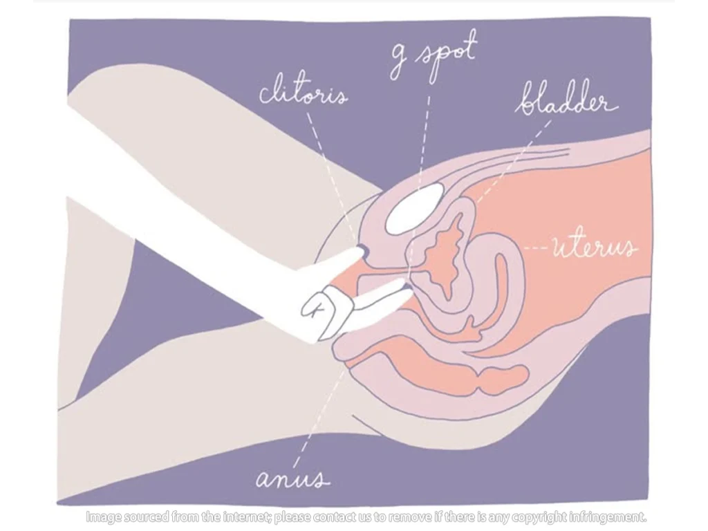 El clítoris tiene una densidad nerviosa extremadamente alta, por lo que cuando es incómodo la sensación se amplifica y se hace más pronunciada Cómo estimular el clítoris durante el sexo (posiciones, estimulación dual y comunicación)